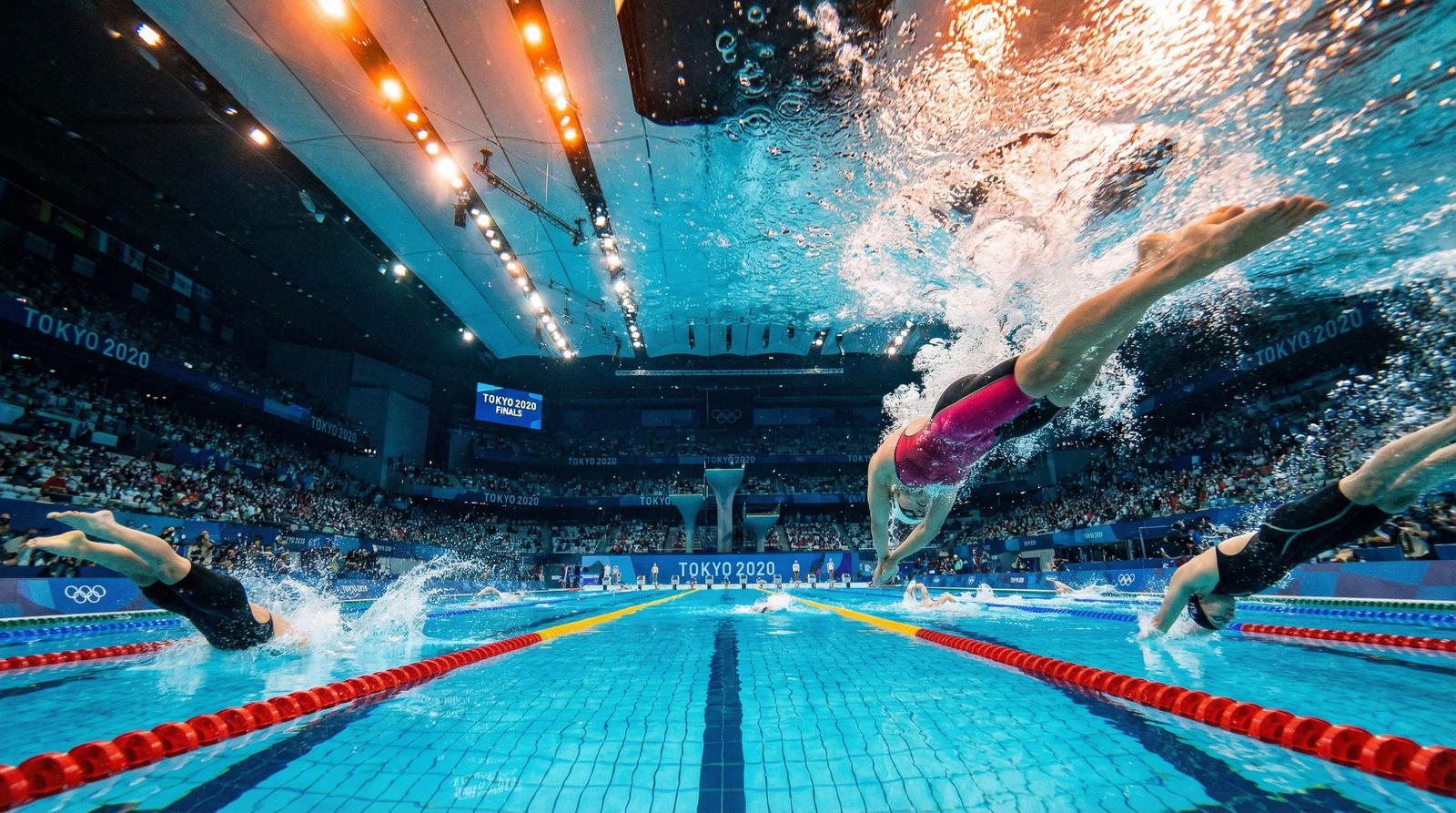 51动漫游泳赛事视频